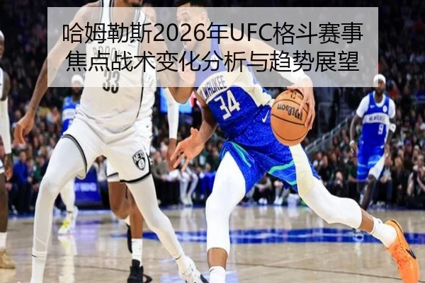 哈姆勒斯2026年UFC格斗赛事焦点战术变化分析与趋势展望